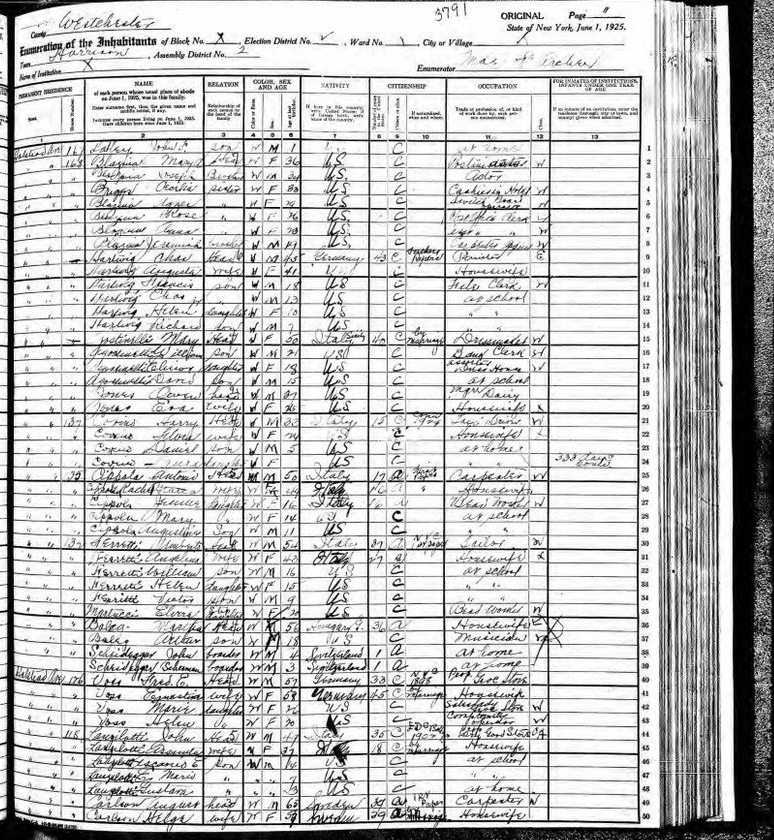 codes 1925 new york census codes 1925 new york census